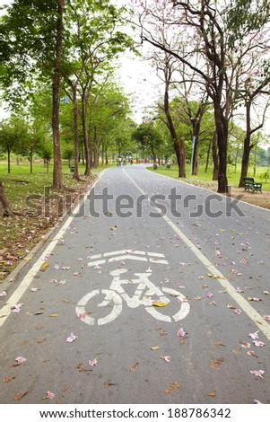 bicycle lane in thai park