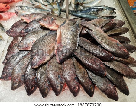 Nile Tilapia Fish on ice tray in the supermarket background. 