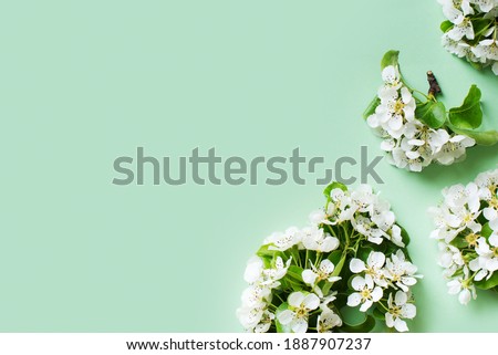 Apple flowers flat lay, summer and spring time creative pastel concept on green background, top view, copy space