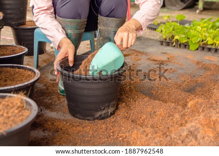 People gardening. Man planting gardens vegetables, Soil preparation agriculture gardener hobby plants at home and outdoor. plants in pots working. farm