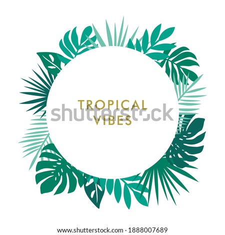tropical vibes round background with monstera palm and leaves