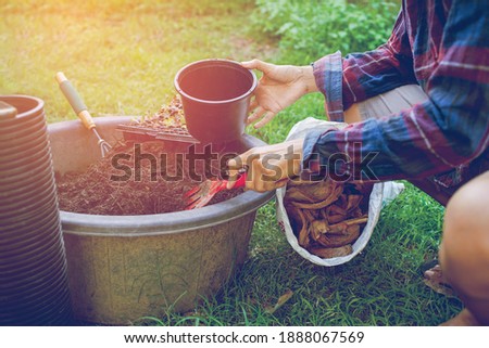 People gardening. Man planting gardens vegetables, Soil preparation agriculture gardener hobby plants at home and outdoor. plants in pots working. farm