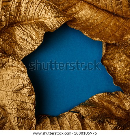 Golden leaves. Creative layout made of golden leaves with blue paper card note. Minimal floral concept with copy space.
