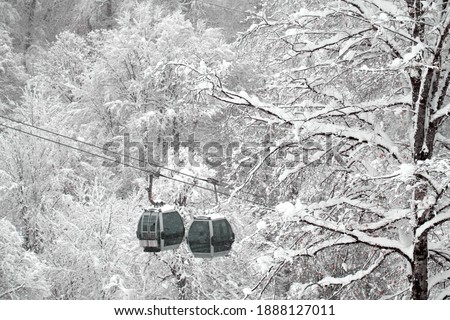Winter forest and cableways of the ski resort. The snowy forest background. Winter tourism and winter wonderland concept. Selective focus.