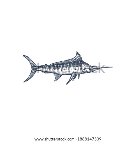 Broadbills fish sword like snout isolated swordfish monochrome icon. Vector long toms marlin, broadbill saltfish with long flattened snout. Predatory game fish with long, flat bill, Xiphiidae
