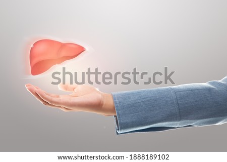 Female doctor holding liver illustration against a gray background. The concept of Liver disease protection and healthcare. Royalty-Free Stock Photo #1888189102