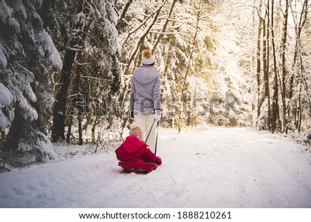 Mother pulling baby on a sled through winter forest. Snowy woods theme.
