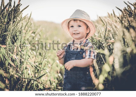 The boy enjoys the summer weather in the field.