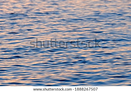 Top view of sunset shine sea water texture.  Pink ripple water surface.  Defocused photo with blur in motion.