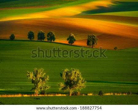 Moravian Fields
