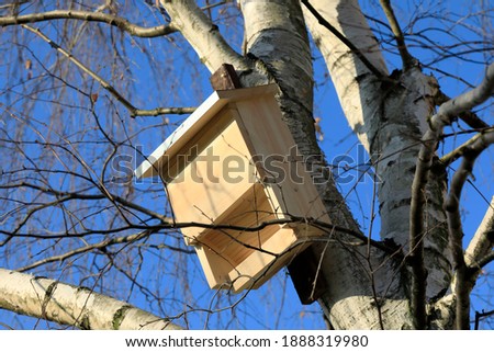 One wooden bat house has been fixed on a birch tree trunk in public park in Goclaw housing estate in Warsaw.