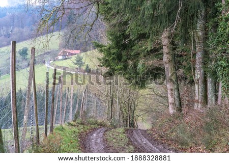 Forest road with tire tracks background a village with a wire fence and trees