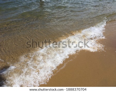 beautiful beach land with clear water shore 