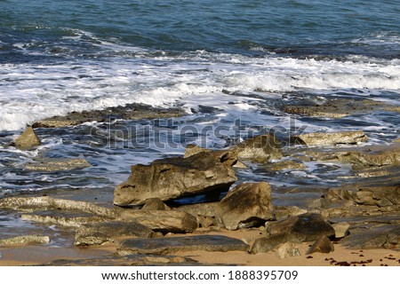 large stones and shells on the Mediterranean coast