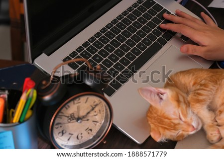 Orange cat asleep on the laptop keyboard with alarm clock , note and stationery on the desk