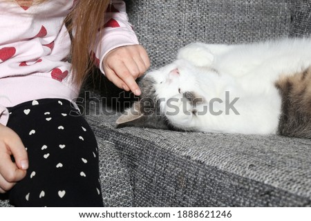 Little girl strokes a cat