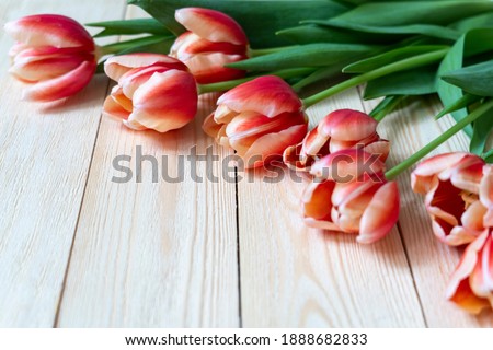 tulips on a wooden background top view, space for your text on the left, selective focus, tinted image