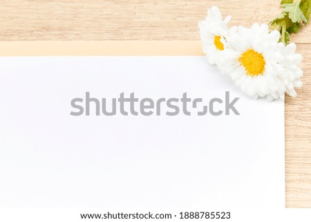 White daisies on a white sheet with copy space for text. Invitation concept