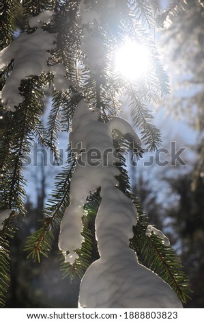 Snow and sun in Italy mountains
