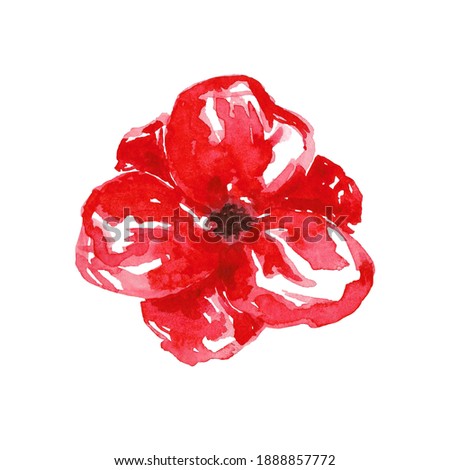 Red poppy clip art isolated on white background. Watercolor hand drawn flower illustration. Bright botanical design element for decoration, wedding, card, invitation, gift, party, flower shop.