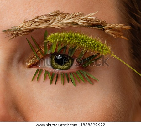 Close-up of a woman's green eye with a weed stalk as a mascara applicator and grass as eyelashes Royalty-Free Stock Photo #1888899622