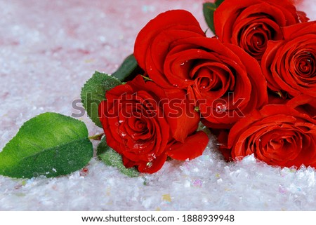 Romantic bouquet of beautiful red roses on sparkle snow. Mothers Day or Valentines Day concept..