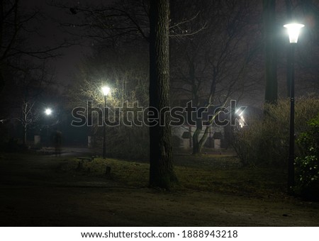 Tree trunk lit by lanterns in the dead of night