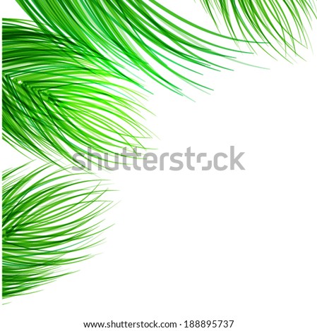 coconut leaves on white background vector