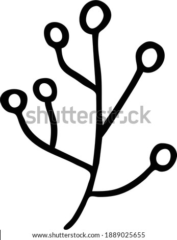 Vector twig with berries. Hand drawn doodle.  Forest theme.