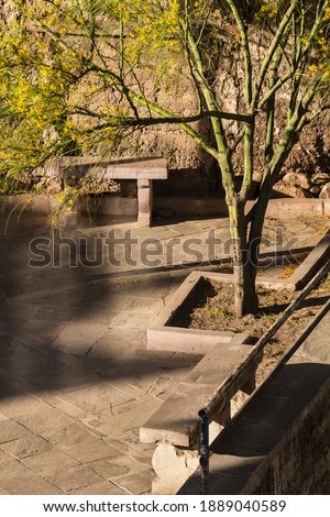 Book cover. Autumn square and tree background. Mysterious background of architecture and tree.