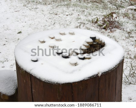 Place for a game of checkers in the forest. The first snow fell.