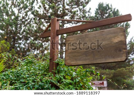 wooden signboard and pine trees. blank wooden vintage signboard