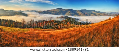 Majestic autumn rural scenery. Landscape with mountains  with morning fog