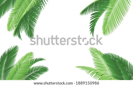 Green coconut leaves for background.Vector.Illustration. Royalty-Free Stock Photo #1889150986