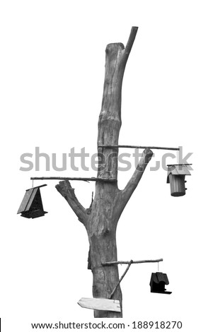 birdhouse on dead tree