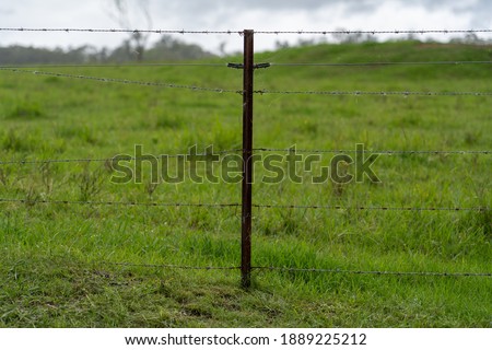 close up of barb wire fence on farm with green field in the background