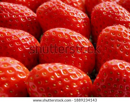 Fresh Organic Fruit Strawberry Background Image