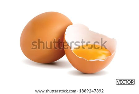 Eggs isolated on white background. Vector EPS Royalty-Free Stock Photo #1889247892