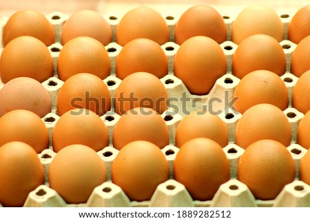 Selective focus picture at row of center of fresh eggs on paper tray package carton with one blank hole 
