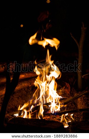 picture of beautiful campfire in the dark