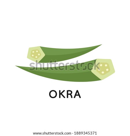 Okra on white background. Okra vector. Okra logo design.