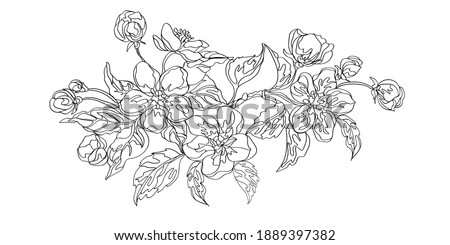 Apple flowers ornament with blossom branches. Decorative floral coloring page. Vector illustration