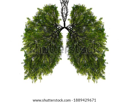 Abstract silhouette of lungs on a white background . Trees are the lungs of the planet. Air purification. Ecological concept. Tree branch. Healthy lung. Royalty-Free Stock Photo #1889429671