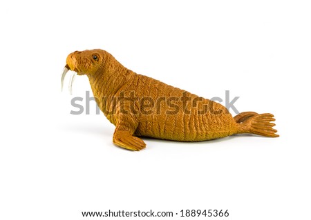 Walrus toy