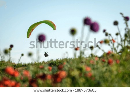 A paraglider in sky and blooming wild flowers 
