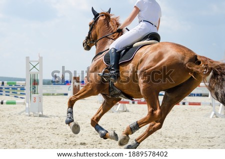 Red sports horse moving at a gallop on the outdoor equestrian show jumping competitions at the summer Royalty-Free Stock Photo #1889578402