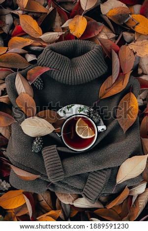 tea on a sweater on autumn foliage