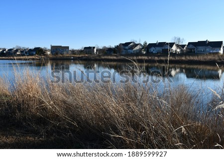 Tall, uncut prairie grass surrounding a lake. There are houses in the background. Picture taken along the Rabbit Run Trail in St. Peters, Missouri.