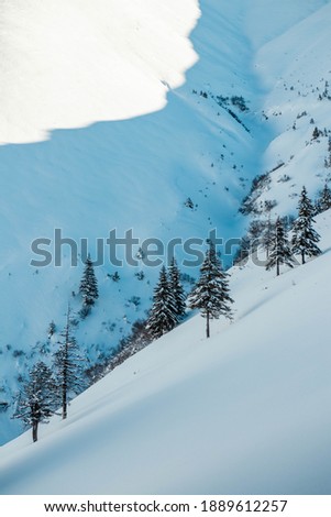 Amazing mountain landscape in winter season with snow and trees