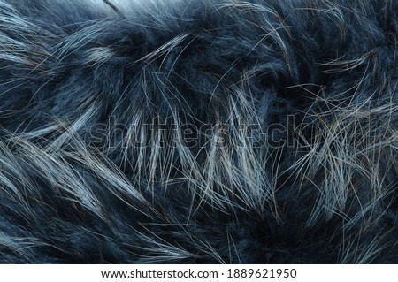 The texture of natural dyed fur. Creative coloring book. Selective focus